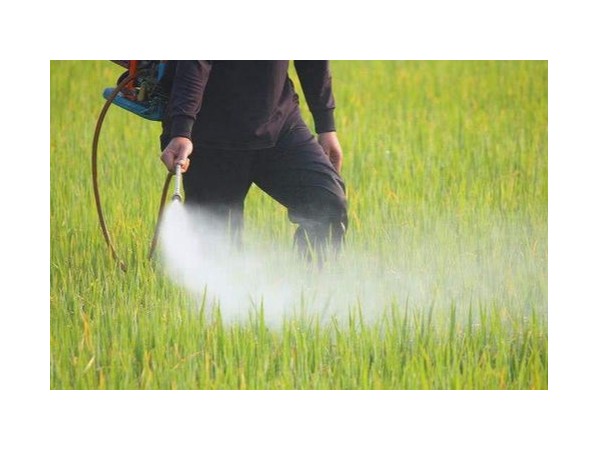 什麽是納米農藥呢？用91短视频在线播放製備