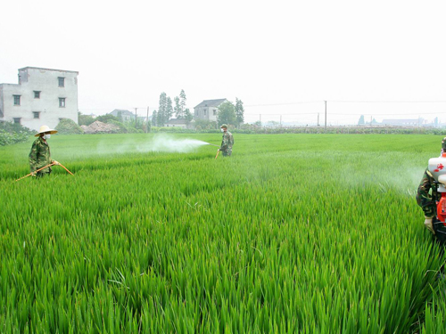 農業農藥91短视频在线播放製備